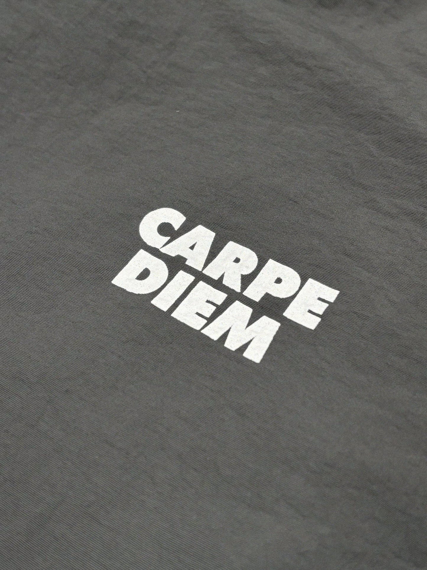 CARPE DIEM Versatile Nylon Pants - Gray