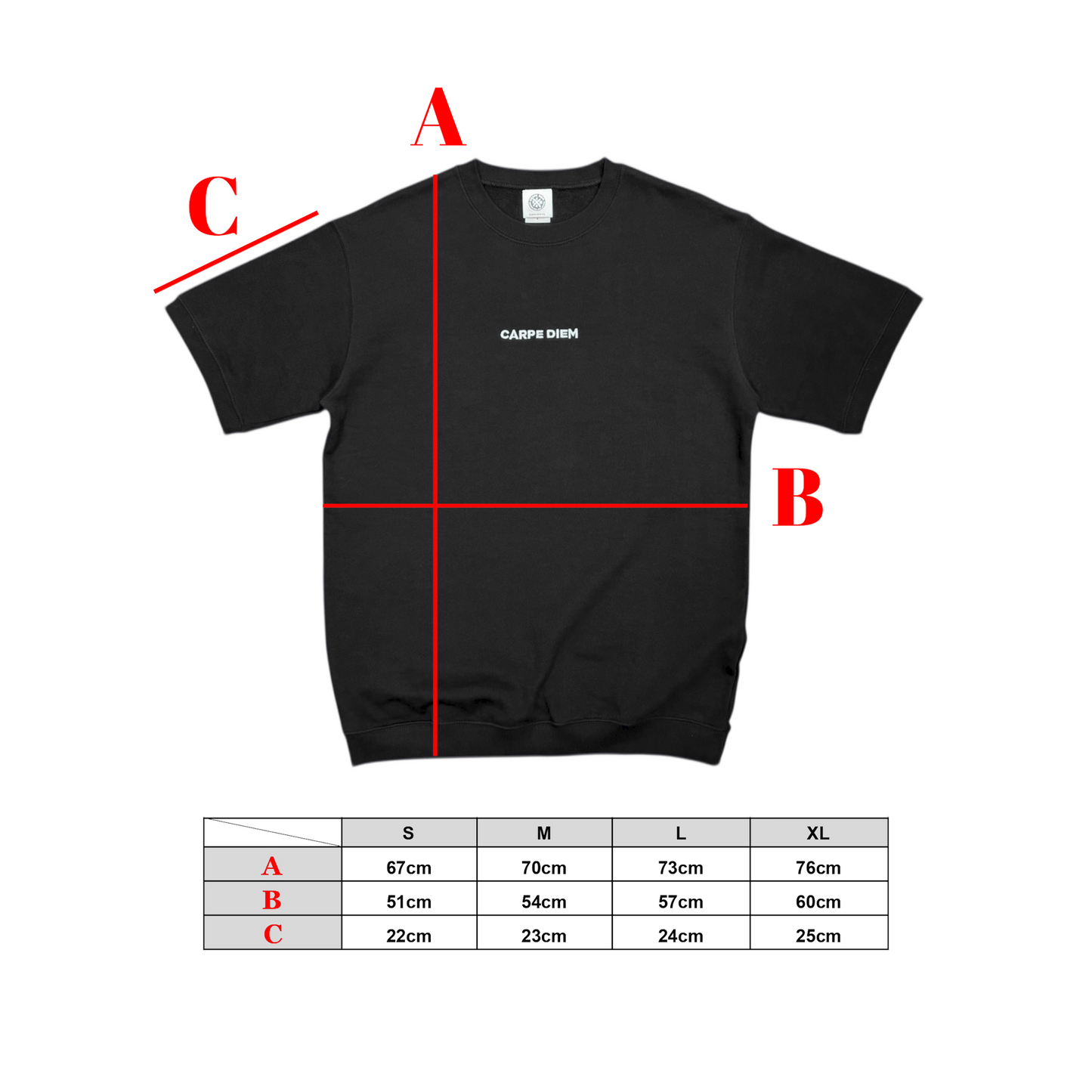 CARPE DIEM 8.2oz Sweat T-Shirt – Black