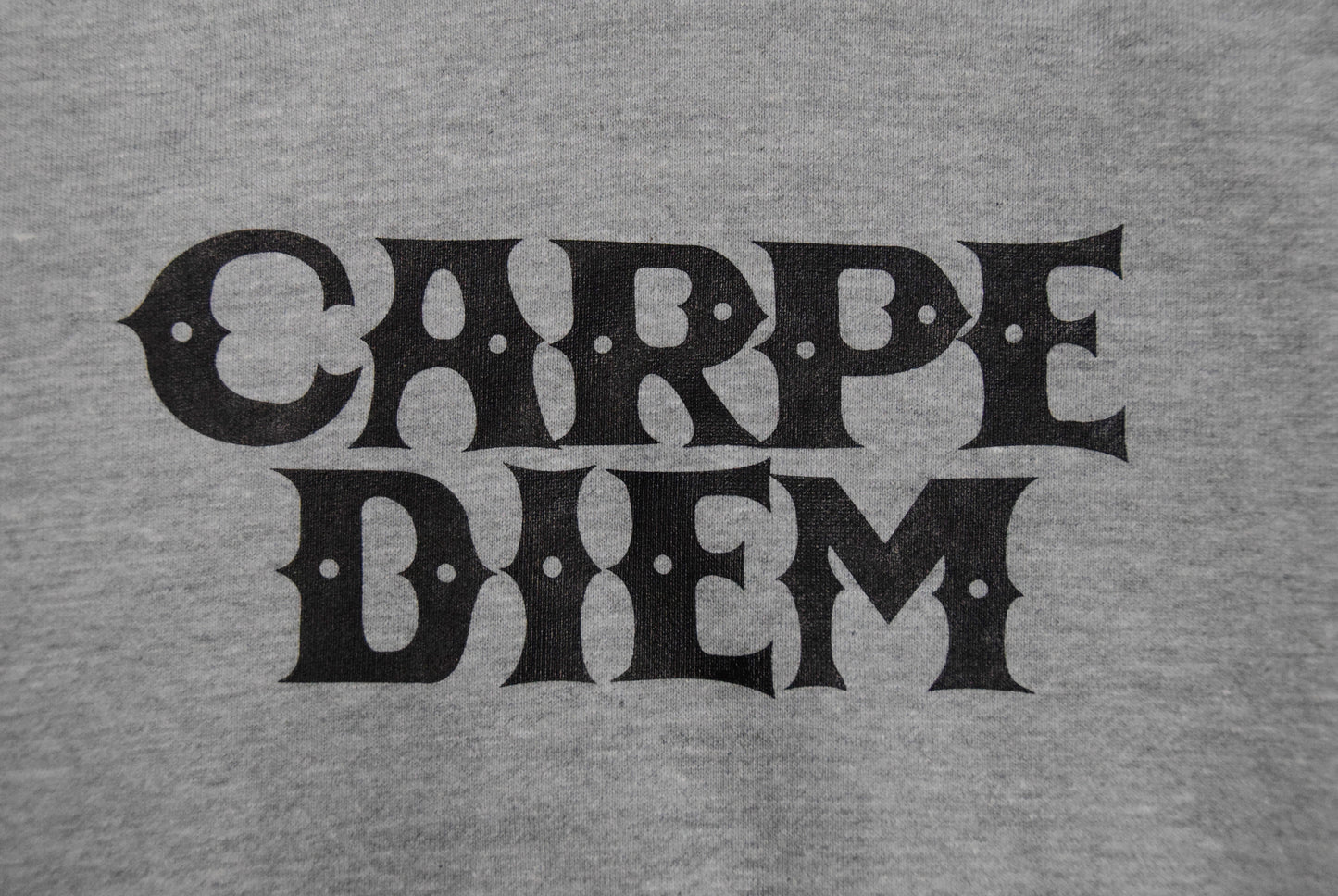 CARPE DIEM Premium Hoodie - Gray【Premium】