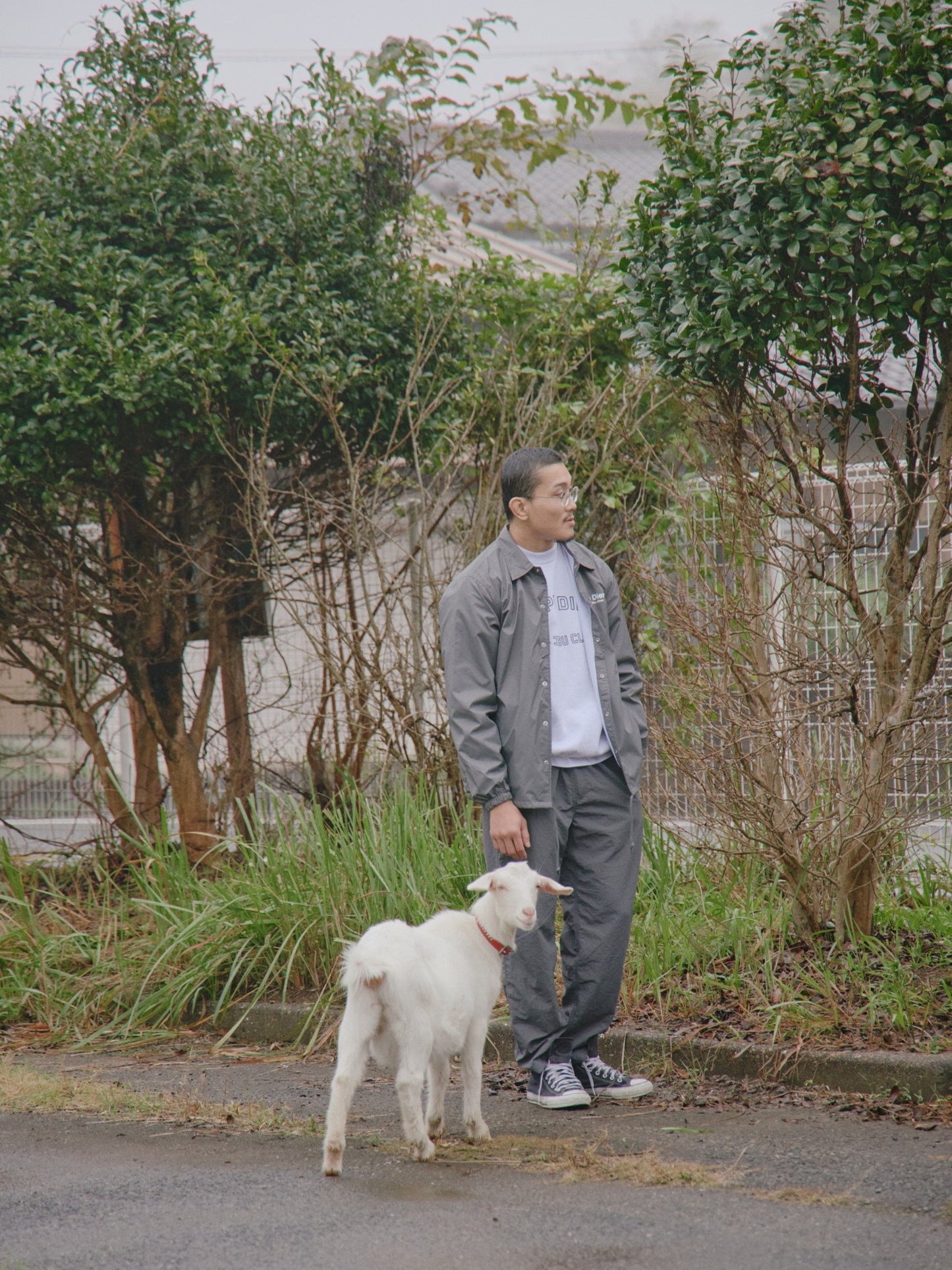 CARPE DIEM Versatile Nylon Pants - Gray