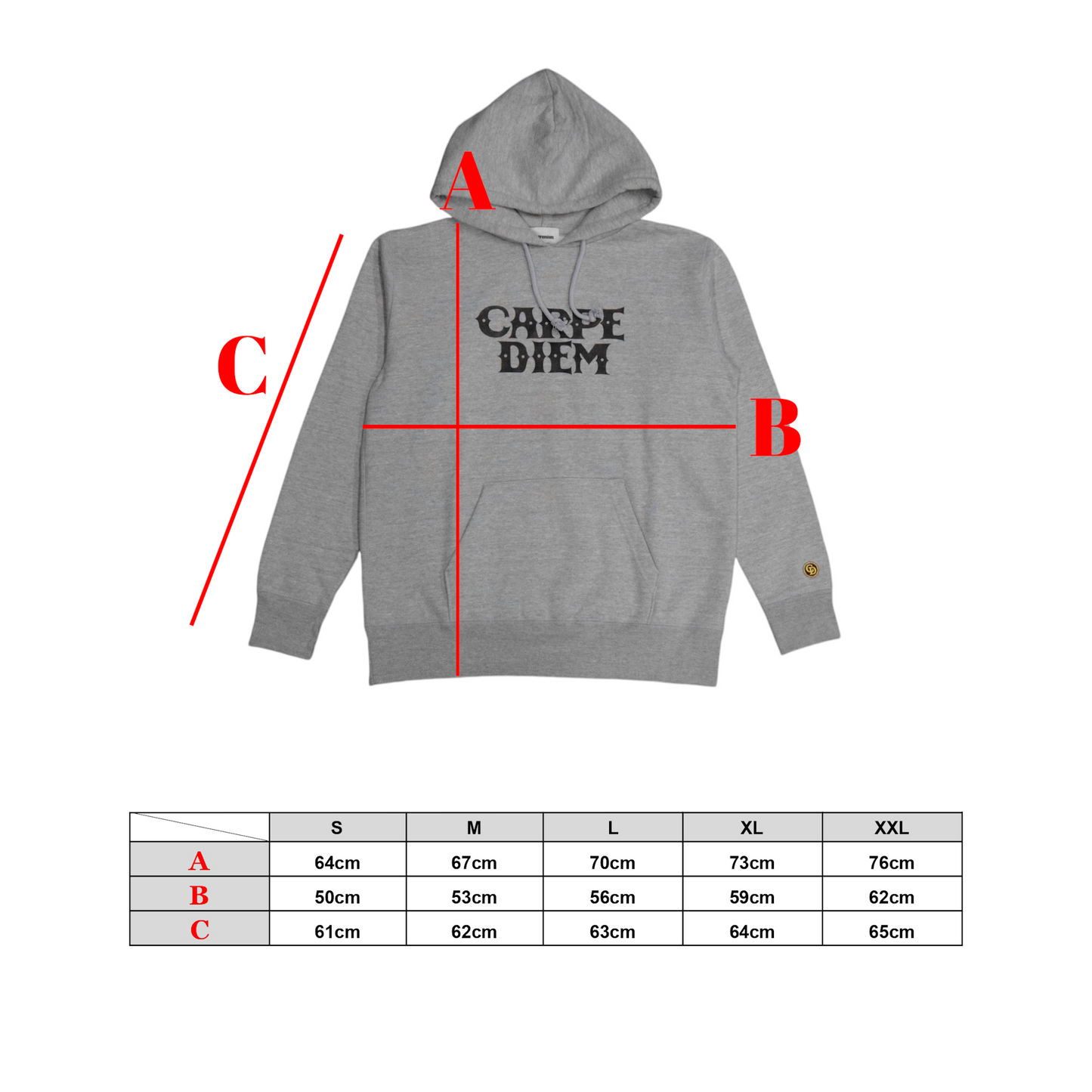 CARPE DIEM Premium Hoodie - Gray【Premium】