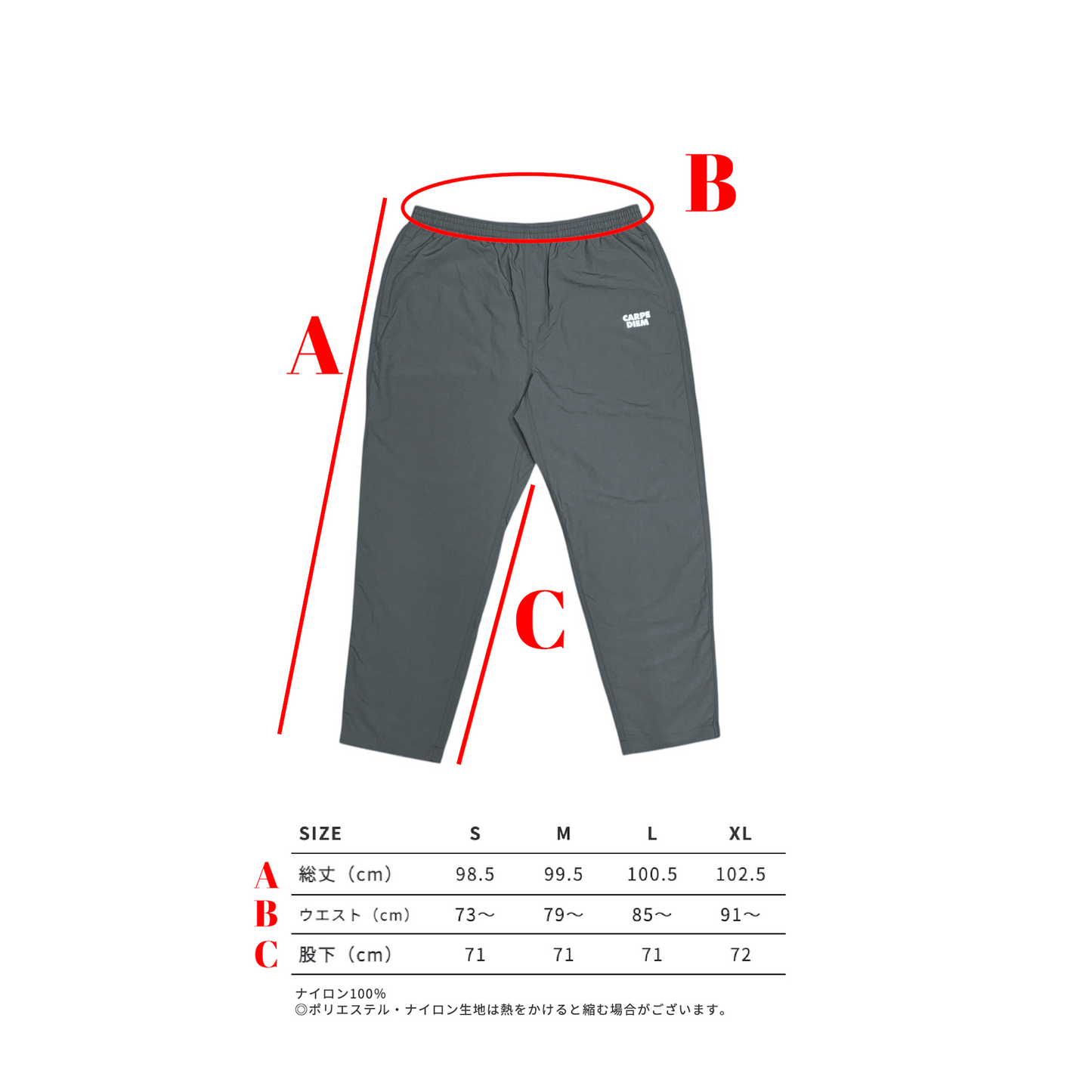 CARPE DIEM Versatile Nylon Pants - Gray