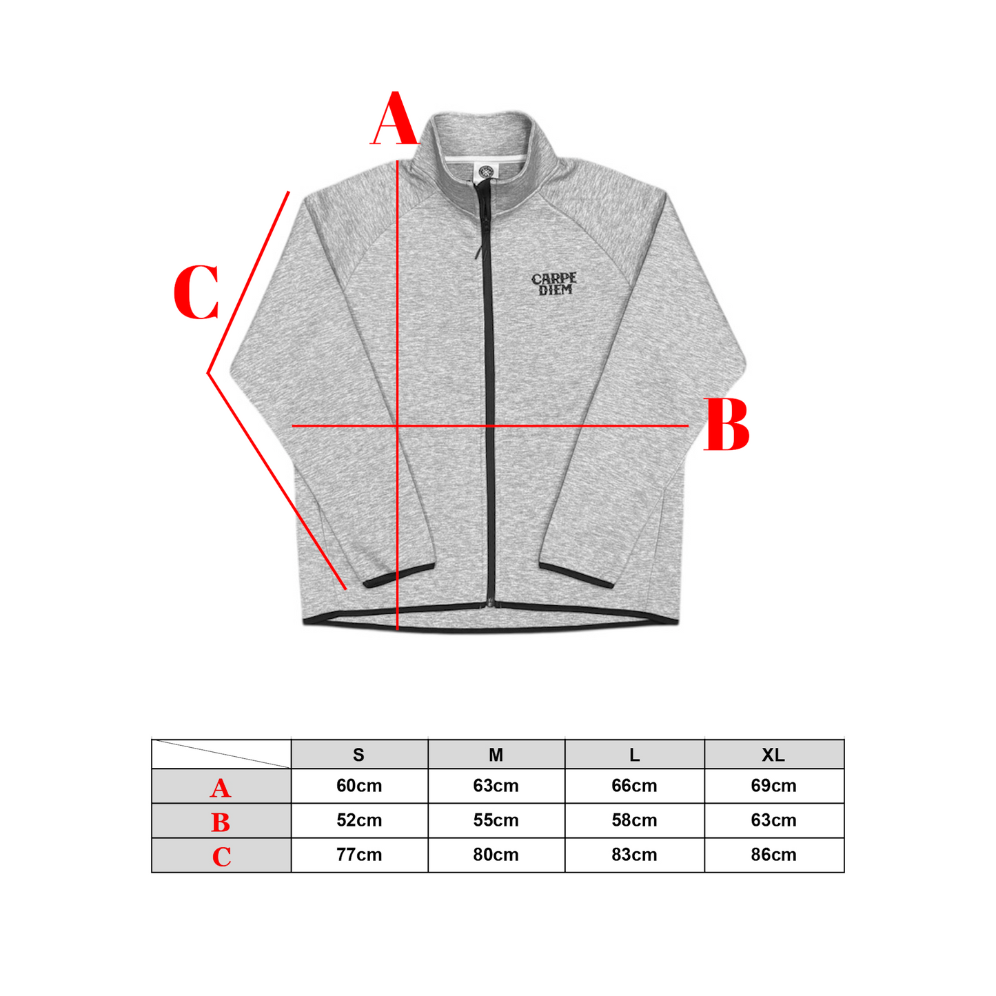 CARPE DIEM EMBROIDERY FULL-ZIP - Gray