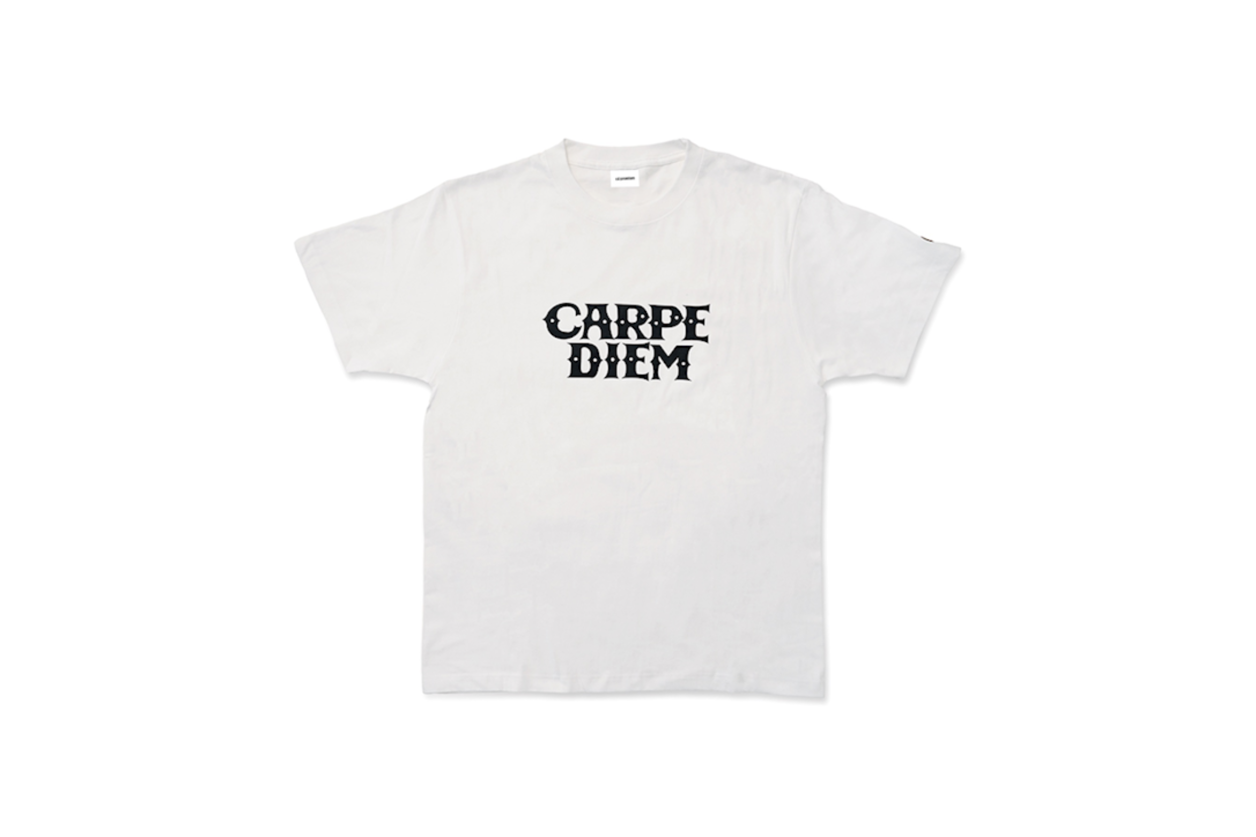 CARPE DIEM T-shirt - White【Premium】 – CARPE DIEM BJJ ONLINE STORE