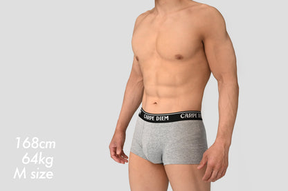 CARPE DIEM Underwear - Gray