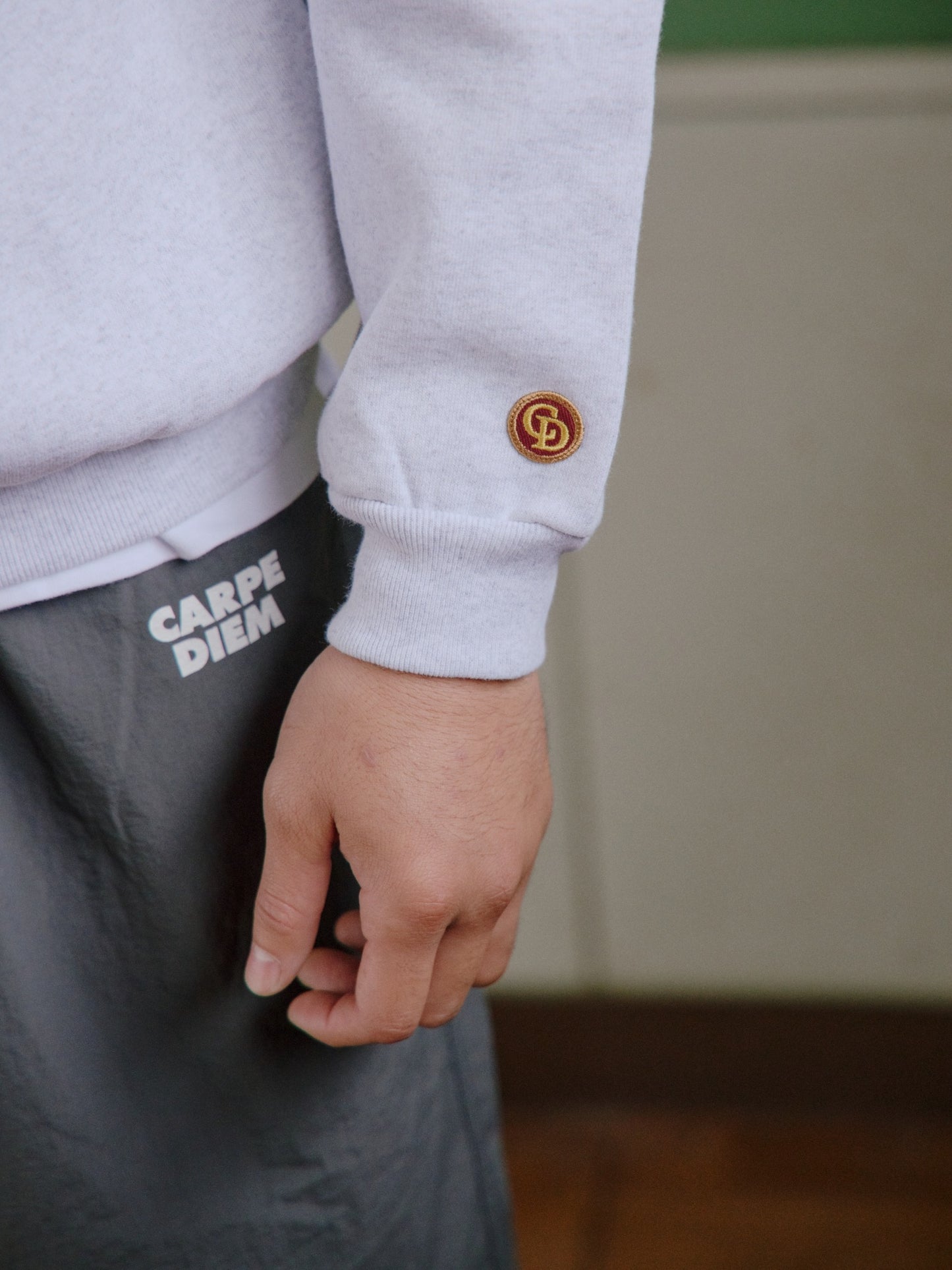 CARPE DIEM HEAVY SWEAT - Gray【Premium】