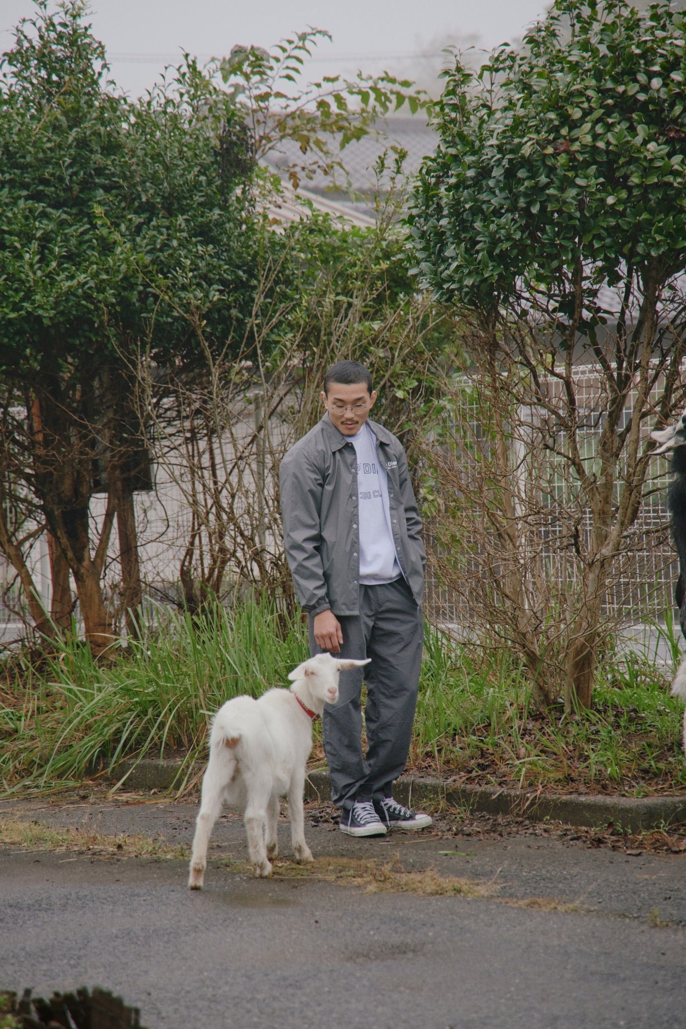 CARPE DIEM COACH JACKET - Gray