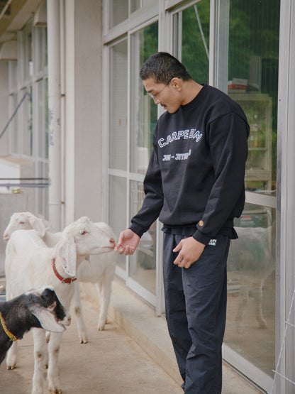 CARPE DIEM Versatile Nylon Pants - Black