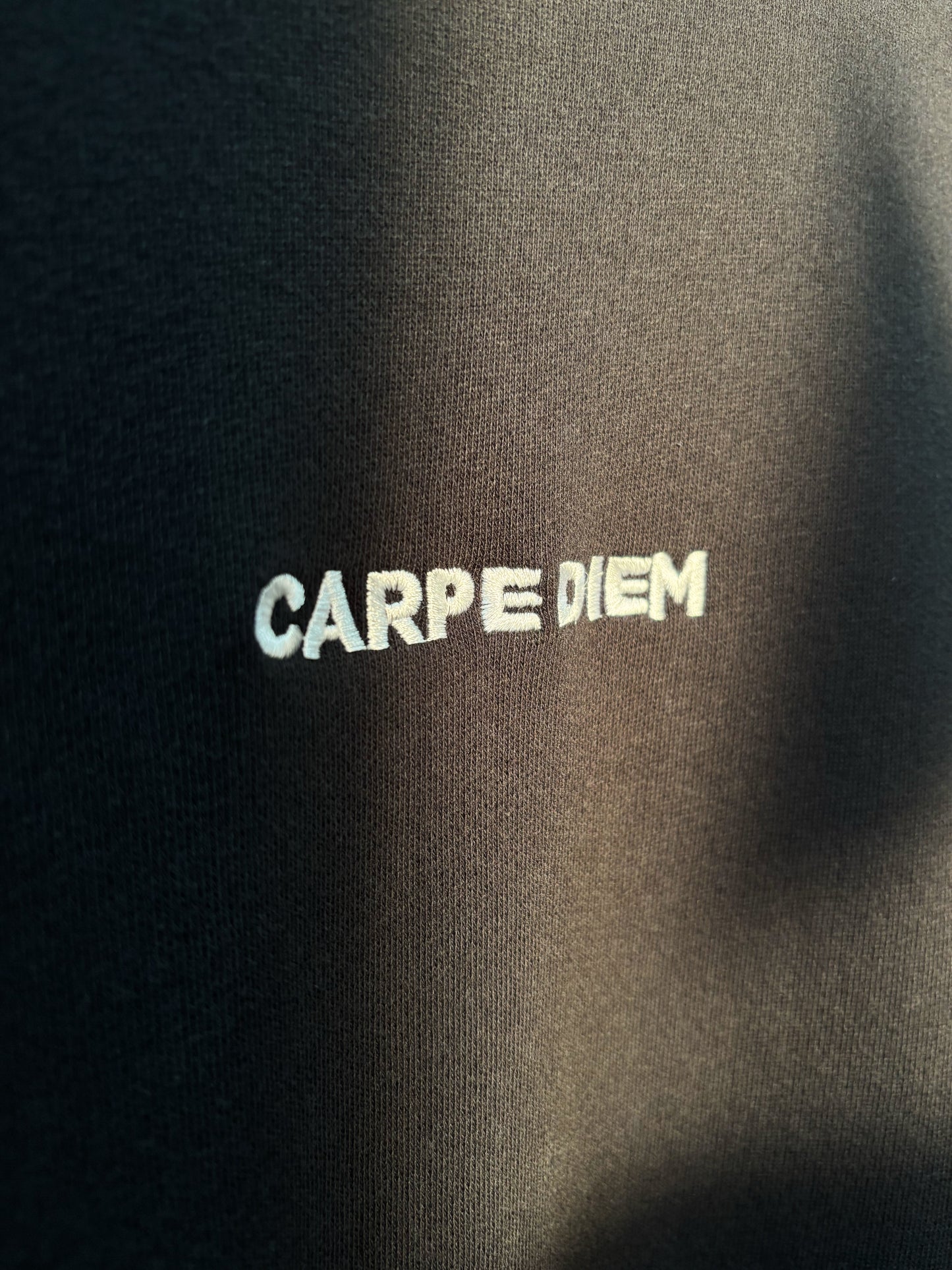 CARPE DIEM 8.2oz Sweat T-Shirt – Black
