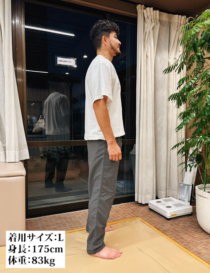 CARPE DIEM Versatile Nylon Pants - Gray