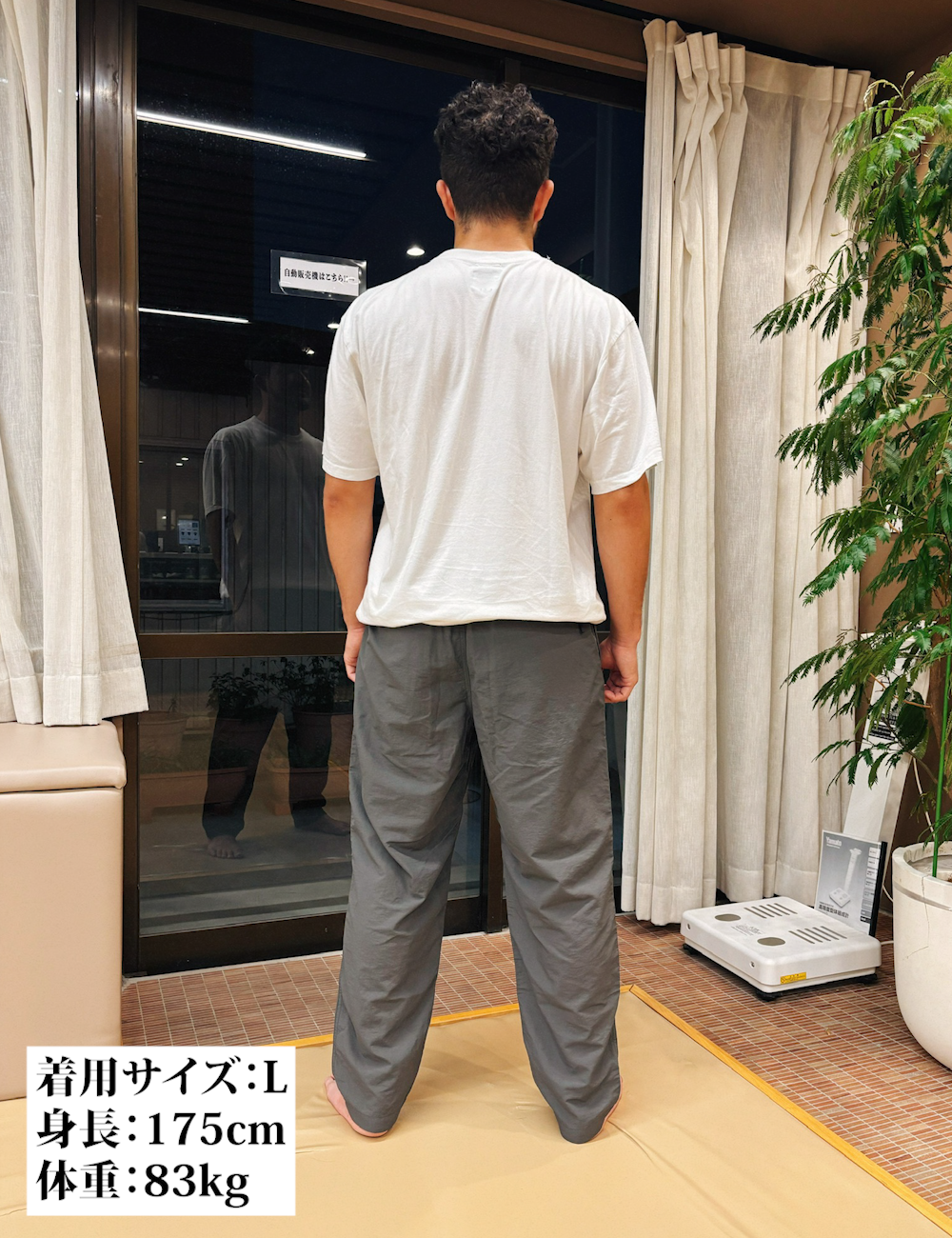 CARPE DIEM Versatile Nylon Pants - Gray