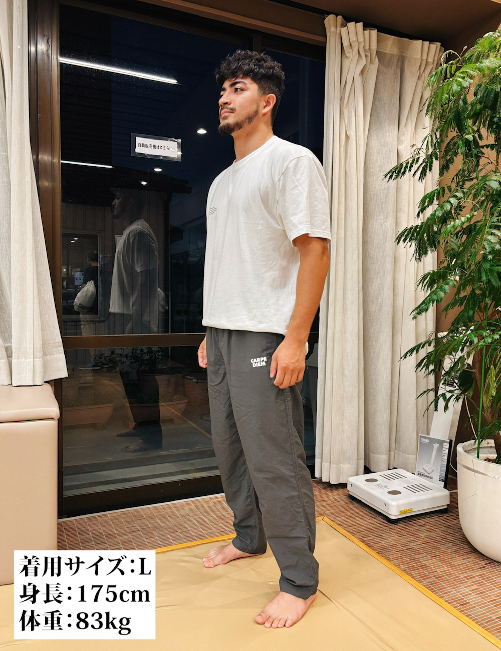 CARPE DIEM Versatile Nylon Pants - Gray