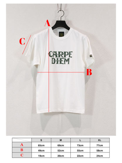 【𝐉𝐇+𝐂𝐀𝐑𝐏𝐄 𝐃𝐈𝐄𝐌】CLASSIC two-tiered T-shirts