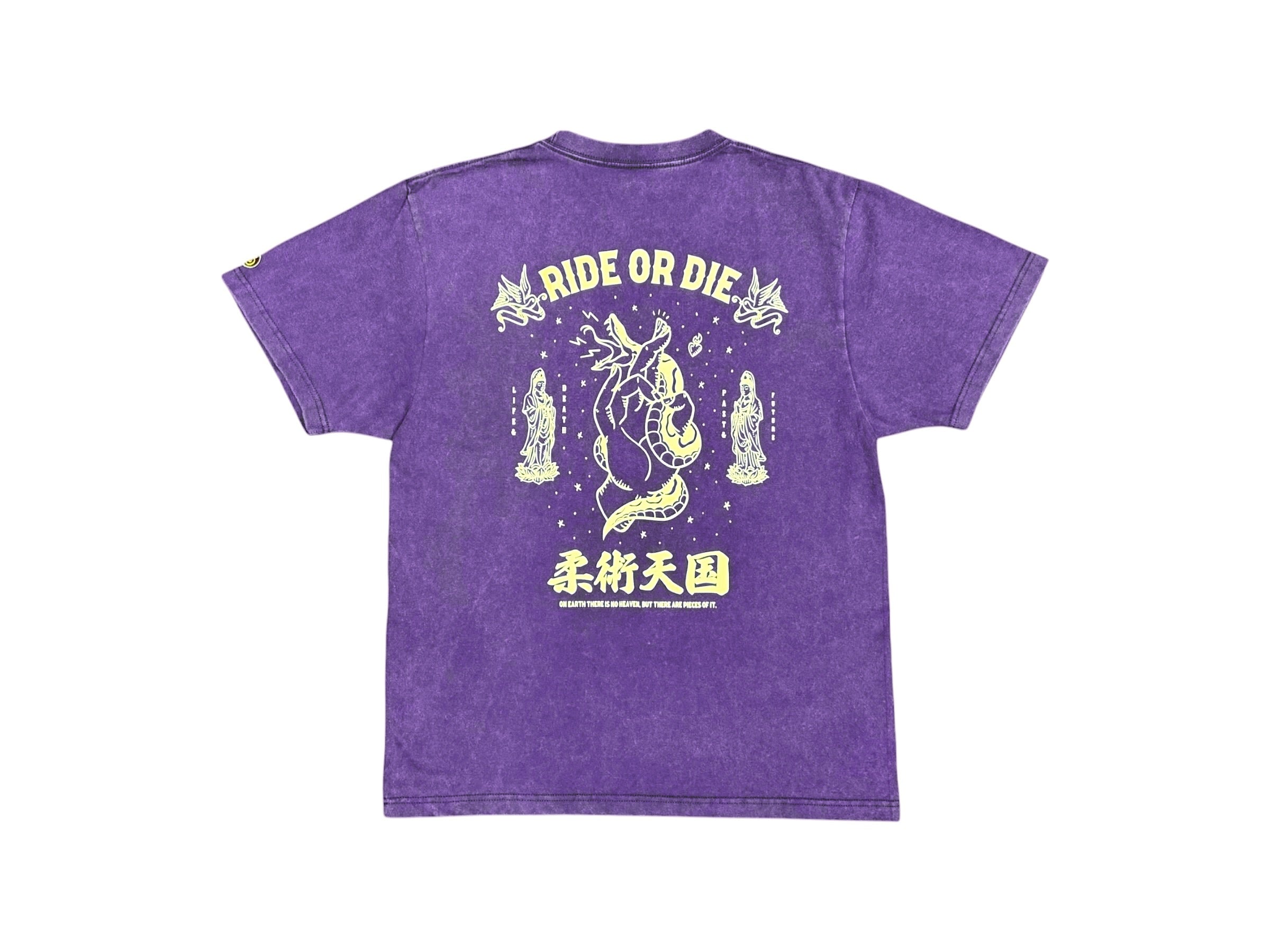 CARPE DIEM T-shirts – CARPE DIEM BJJ ONLINE STORE