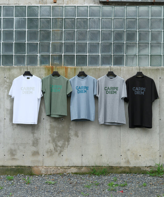 【𝐉𝐇+𝐂𝐀𝐑𝐏𝐄 𝐃𝐈𝐄𝐌】NEW two-tiered T-shirts