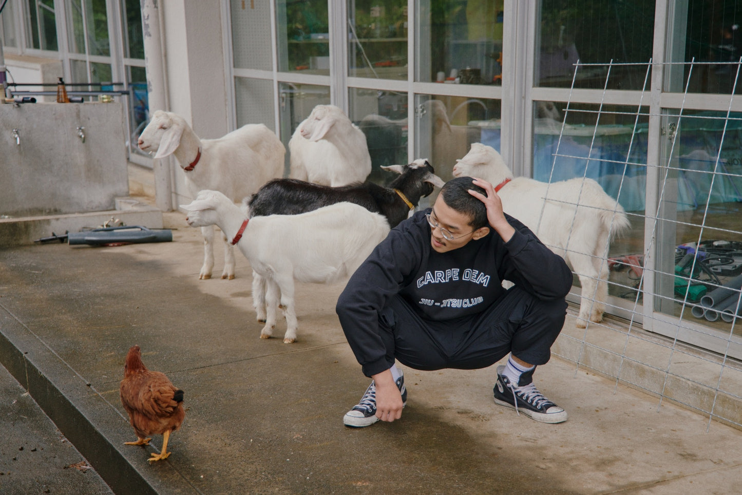 CARPE DIEM HEAVY SWEAT - Black【Premium】