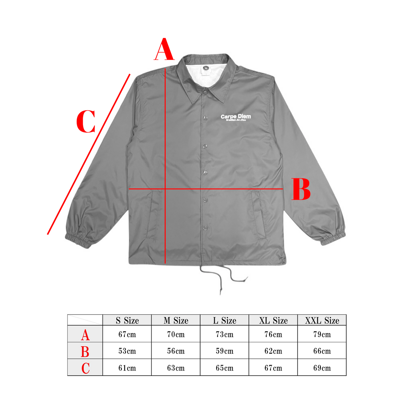 CARPE DIEM COACH JACKET - Gray