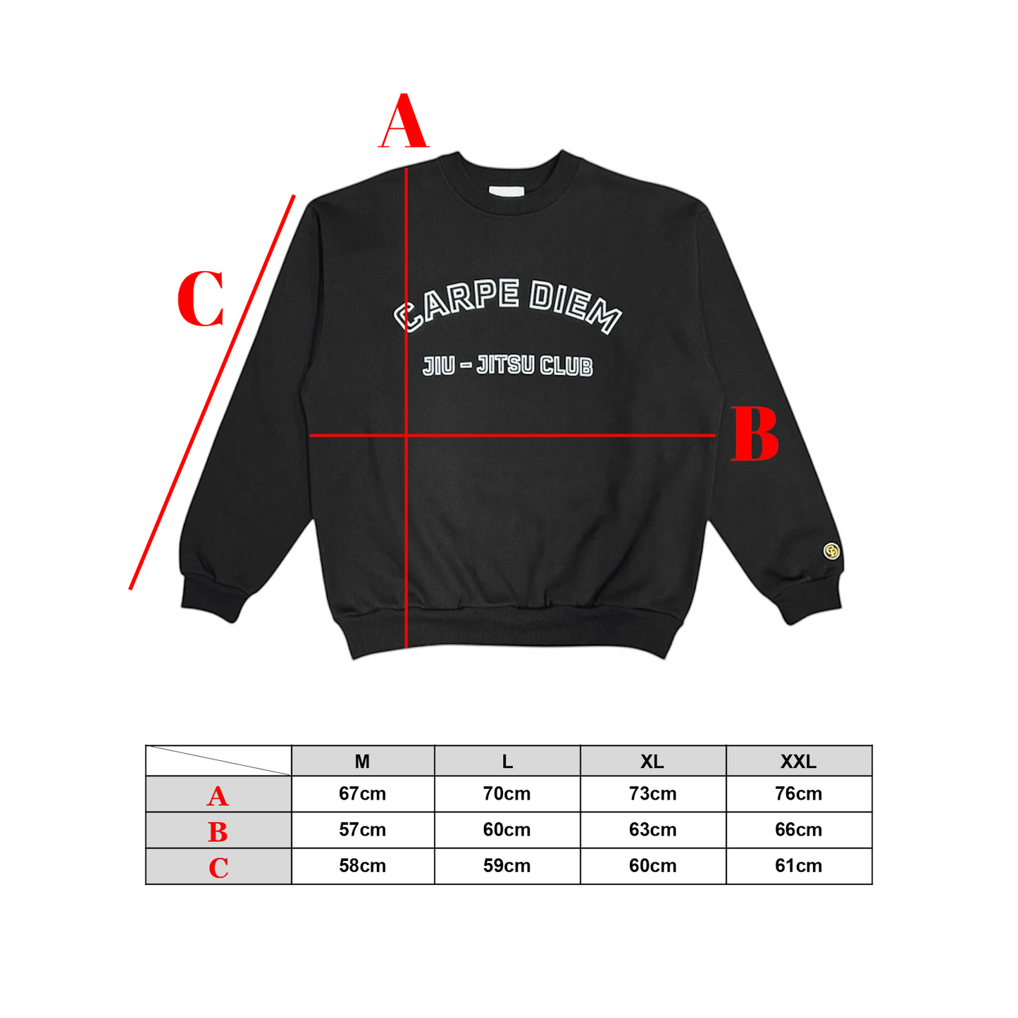 CARPE DIEM HEAVY SWEAT - Black【Premium】