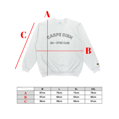 CARPE DIEM HEAVY SWEAT - Gray【Premium】