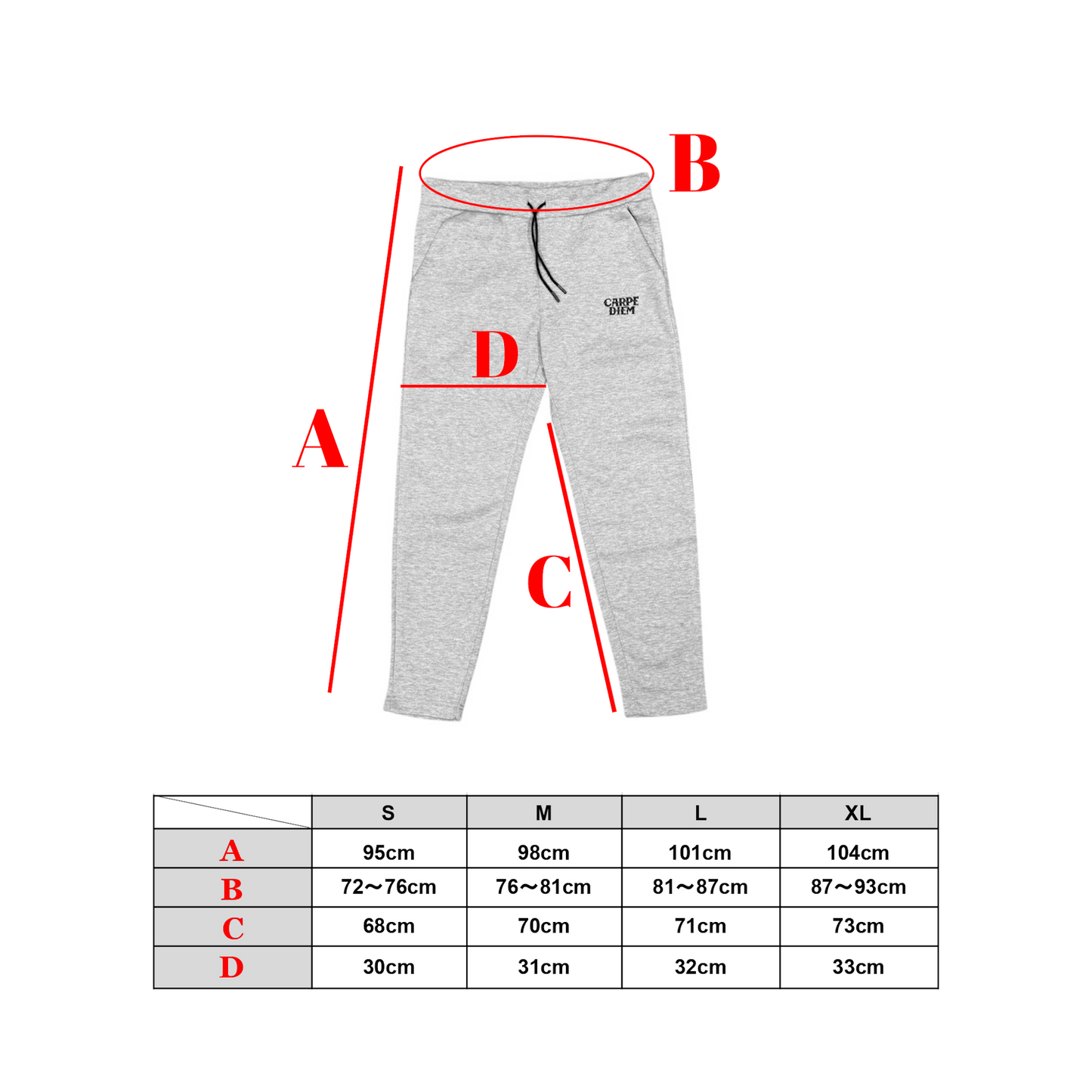 CARPE DIEM EMBROIDERY PANTS - Gray