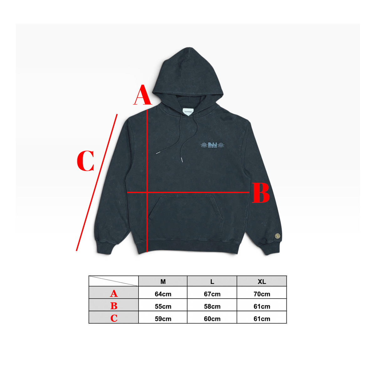 【10月2日金曜日12:00販売開始】柔術天国 RIDE OR DIE HOODIE - Fade Black【Premium】