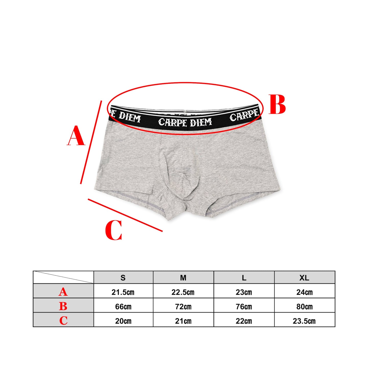 CARPE DIEM Underwear - Gray