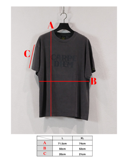 【𝐉𝐇+𝐂𝐀𝐑𝐏𝐄 𝐃𝐈𝐄𝐌】Aging two-tiered T-shirts