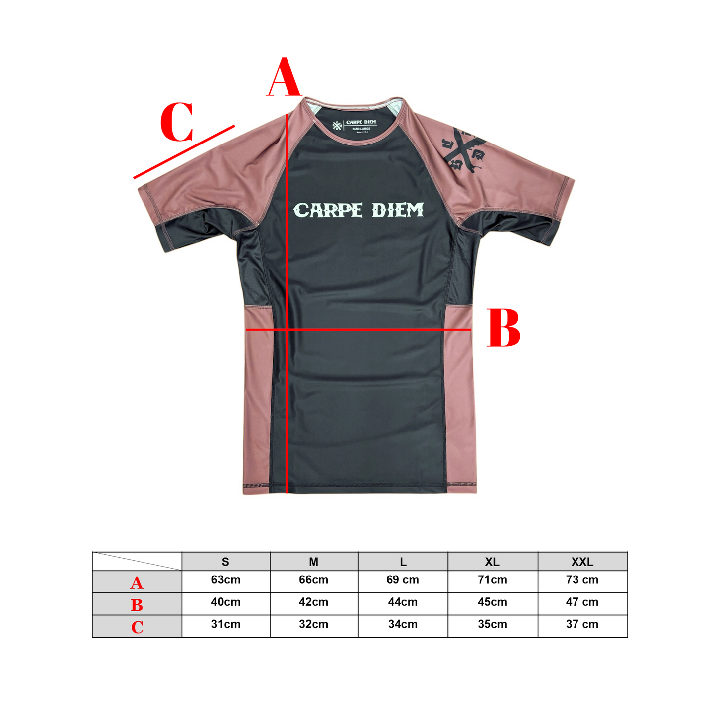 Ranked Rash Guard Ver.2
 - Brown (Short Sleeve)