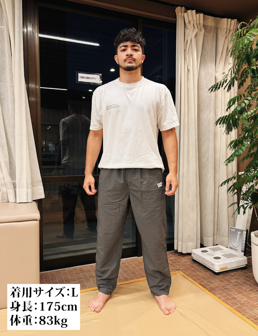 CARPE DIEM Versatile Nylon Pants - Gray