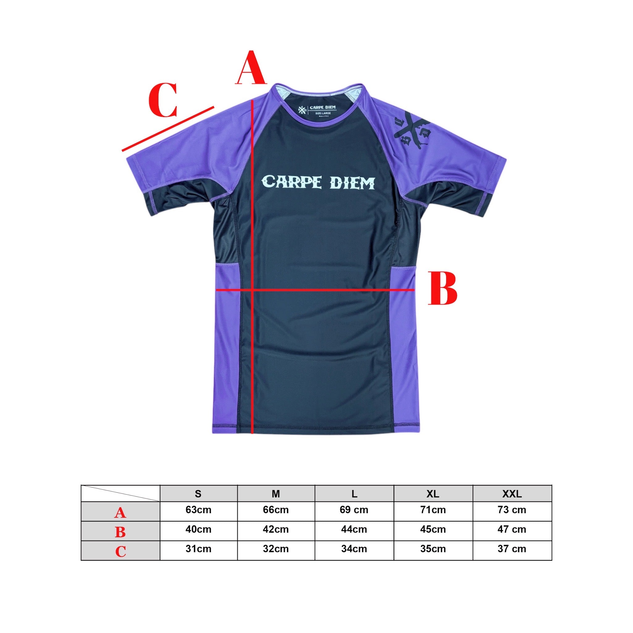 Ranked Rash Guard Ver.2 - Purple (Short Sleeve) – CARPE DIEM BJJ